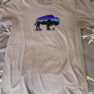 Patagonia Gray T-Shirt with Purple and Blue Graphic